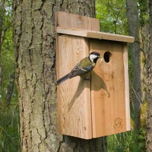 Bird boxes