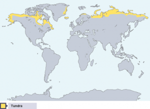 Tundra Map