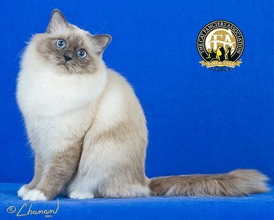 Birman