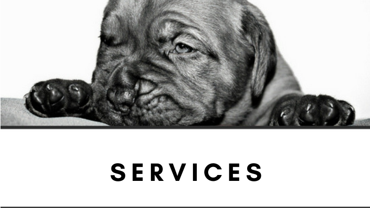 Services