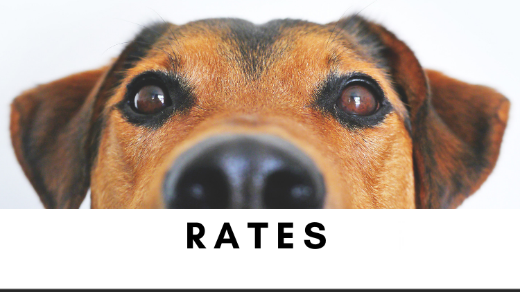 Rates